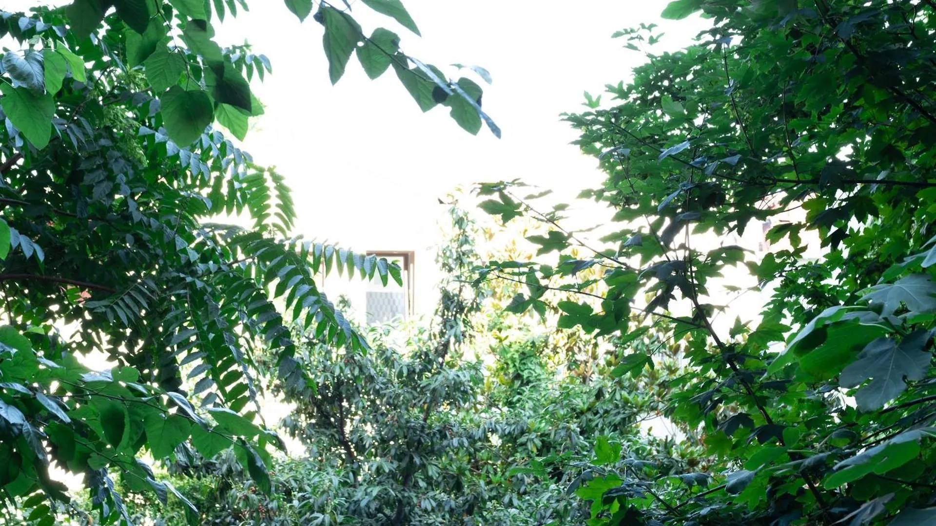 Homie Suites - Heritage Residences Nearby Istiklal Avenue İstanbul 0*,